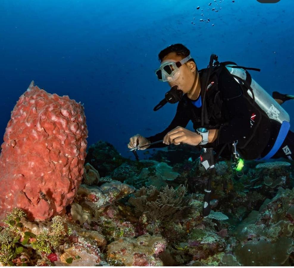 Marind Dive Eco Resort Waha Exterior foto